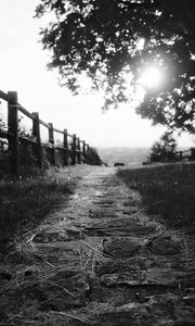 Preview wallpaper path, fence, bw, grass