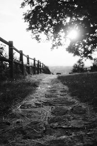 Preview wallpaper path, fence, bw, grass