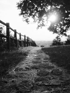 Preview wallpaper path, fence, bw, grass