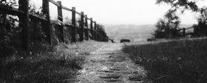 Preview wallpaper path, fence, bw, grass