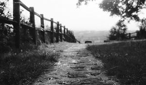 Preview wallpaper path, fence, bw, grass