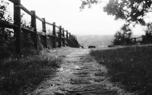 Preview wallpaper path, fence, bw, grass