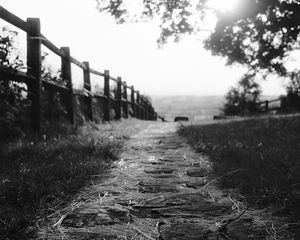 Preview wallpaper path, fence, bw, grass