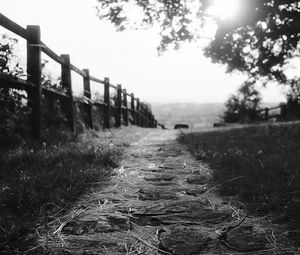 Preview wallpaper path, fence, bw, grass