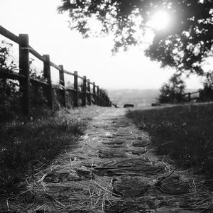 Preview wallpaper path, fence, bw, grass