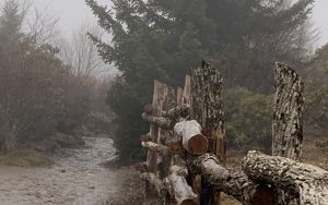 Preview wallpaper path, fence, tree, fog, nature