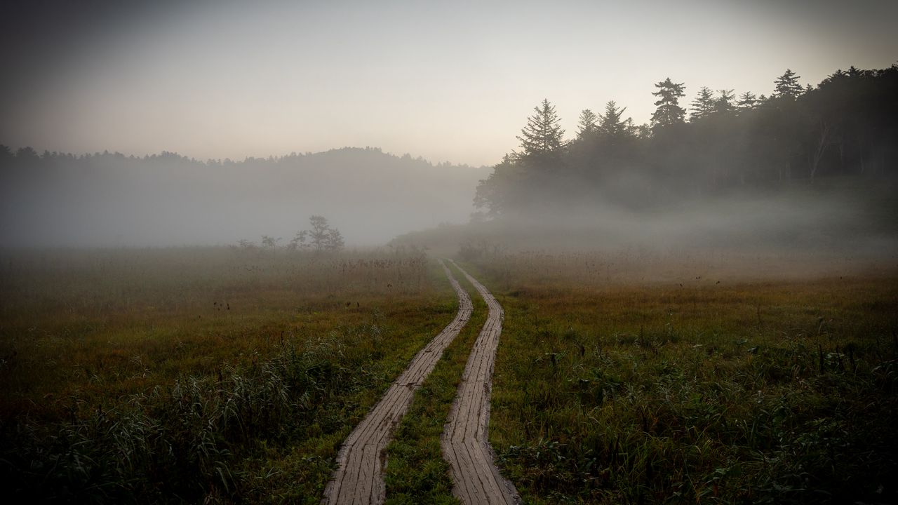 Wallpaper path, field, fog, trees, forest, nature