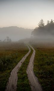 Preview wallpaper path, field, fog, trees, forest, nature