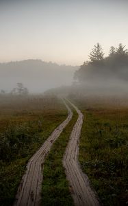 Preview wallpaper path, field, fog, trees, forest, nature