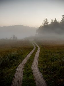 Preview wallpaper path, field, fog, trees, forest, nature