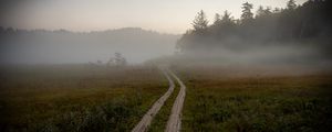 Preview wallpaper path, field, fog, trees, forest, nature