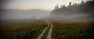 Preview wallpaper path, field, fog, trees, forest, nature