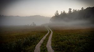 Preview wallpaper path, field, fog, trees, forest, nature