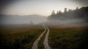 Preview wallpaper path, field, fog, trees, forest, nature
