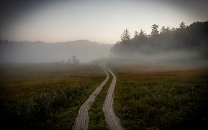 Preview wallpaper path, field, fog, trees, forest, nature