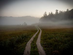 Preview wallpaper path, field, fog, trees, forest, nature