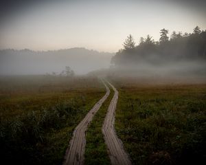 Preview wallpaper path, field, fog, trees, forest, nature
