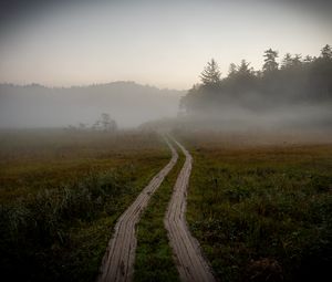 Preview wallpaper path, field, fog, trees, forest, nature