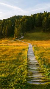 Preview wallpaper path, field, forest, grass, landscape