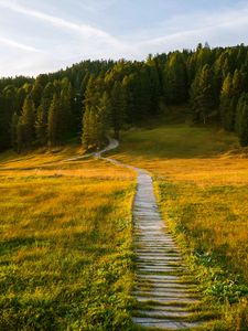 Preview wallpaper path, field, forest, grass, landscape