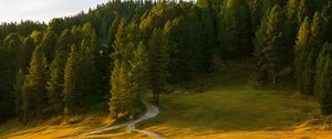 Preview wallpaper path, field, forest, grass, landscape
