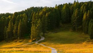 Preview wallpaper path, field, forest, grass, landscape