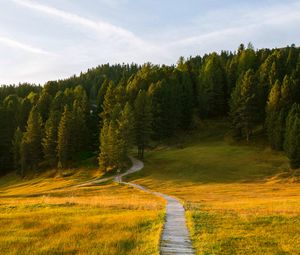 Preview wallpaper path, field, forest, grass, landscape