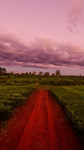 Preview wallpaper path, field, grass, sunset, sky, clouds