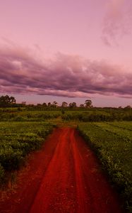 Preview wallpaper path, field, grass, sunset, sky, clouds