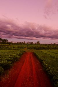 Preview wallpaper path, field, grass, sunset, sky, clouds