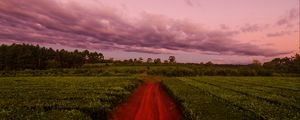 Preview wallpaper path, field, grass, sunset, sky, clouds