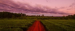 Preview wallpaper path, field, grass, sunset, sky, clouds