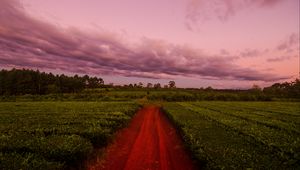 Preview wallpaper path, field, grass, sunset, sky, clouds