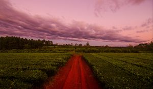 Preview wallpaper path, field, grass, sunset, sky, clouds