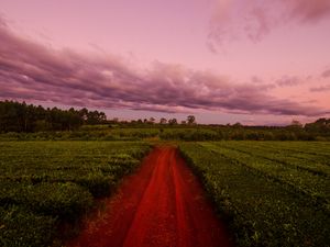 Preview wallpaper path, field, grass, sunset, sky, clouds