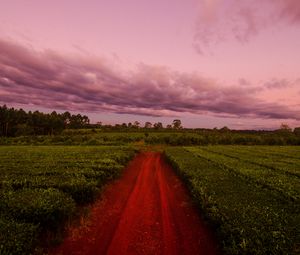 Preview wallpaper path, field, grass, sunset, sky, clouds