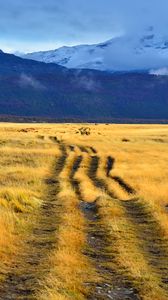 Preview wallpaper path, field, grass, mountains, nature