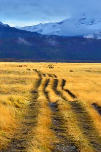 Preview wallpaper path, field, grass, mountains, nature