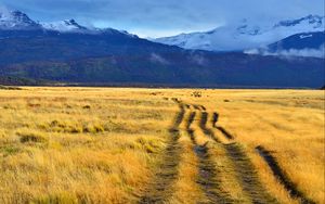 Preview wallpaper path, field, grass, mountains, nature