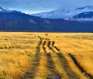 Preview wallpaper path, field, grass, mountains, nature