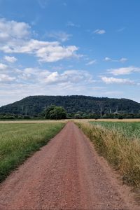 Preview wallpaper path, field, hill, trees, nature