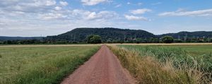 Preview wallpaper path, field, hill, trees, nature