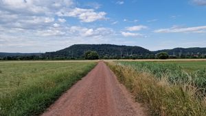 Preview wallpaper path, field, hill, trees, nature