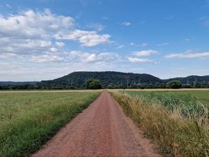 Preview wallpaper path, field, hill, trees, nature