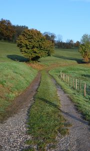 Preview wallpaper path, field, trees, nature, landscape