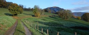 Preview wallpaper path, field, trees, nature, landscape