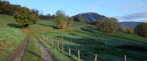 Preview wallpaper path, field, trees, nature, landscape