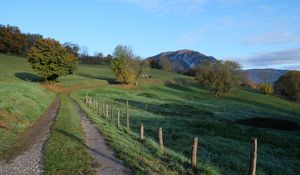 Preview wallpaper path, field, trees, nature, landscape