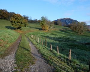 Preview wallpaper path, field, trees, nature, landscape