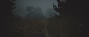 Preview wallpaper path, fog, dark, dusk, nature